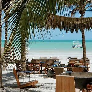 Отель Casa Tortugas Petit &, Остров Холбокс