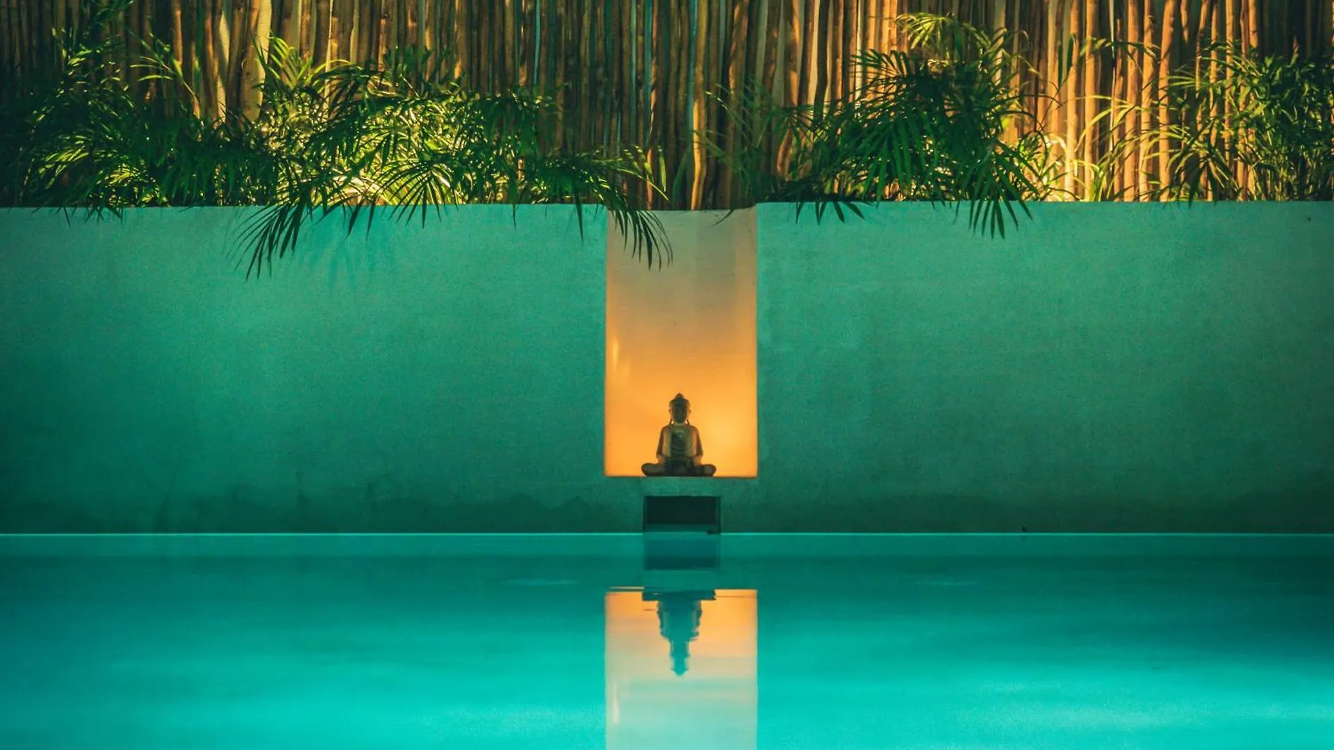Shankara Holbox Isla Holbox