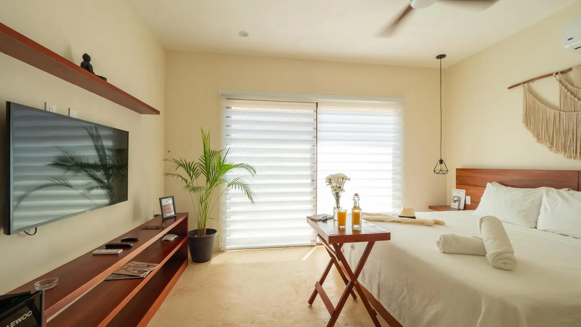 Apartment Shankara Holbox