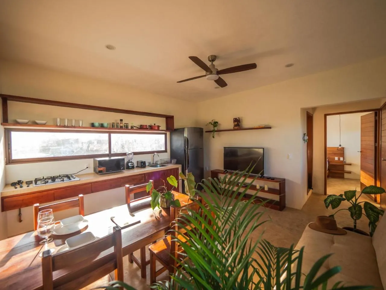 Shankara Holbox