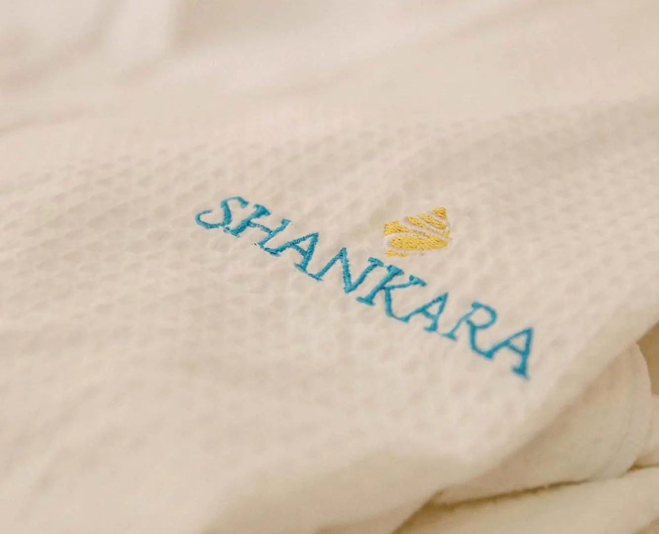 Shankara Holbox Apartment