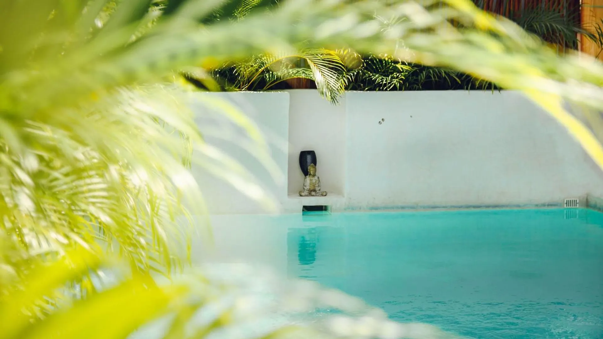 Shankara Holbox 0*, Isla Holbox