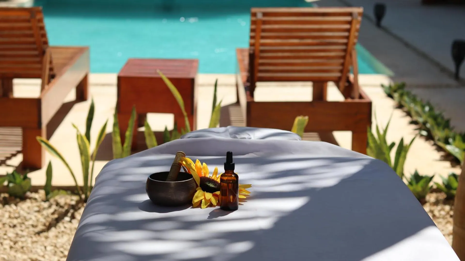 Apartment Shankara Holbox