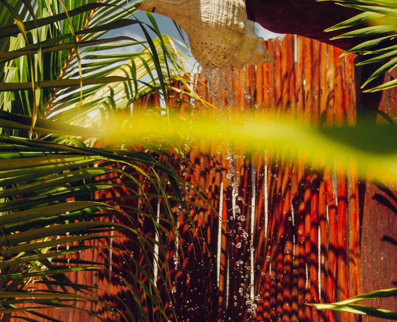 Shankara Holbox Mexico
