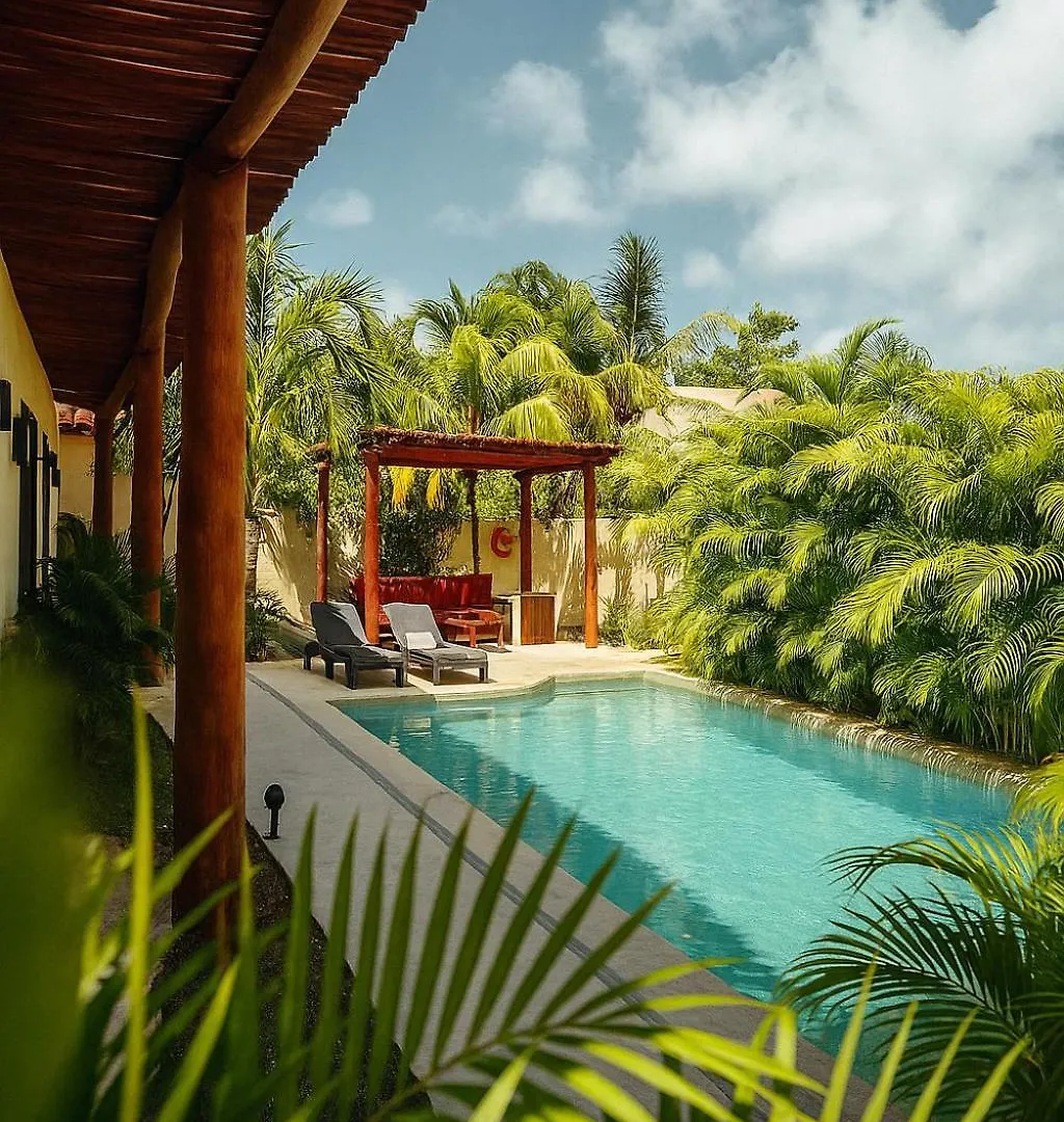 Shankara Holbox